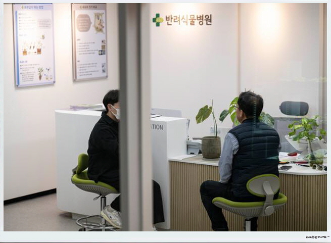 한국식물병원 이미지
