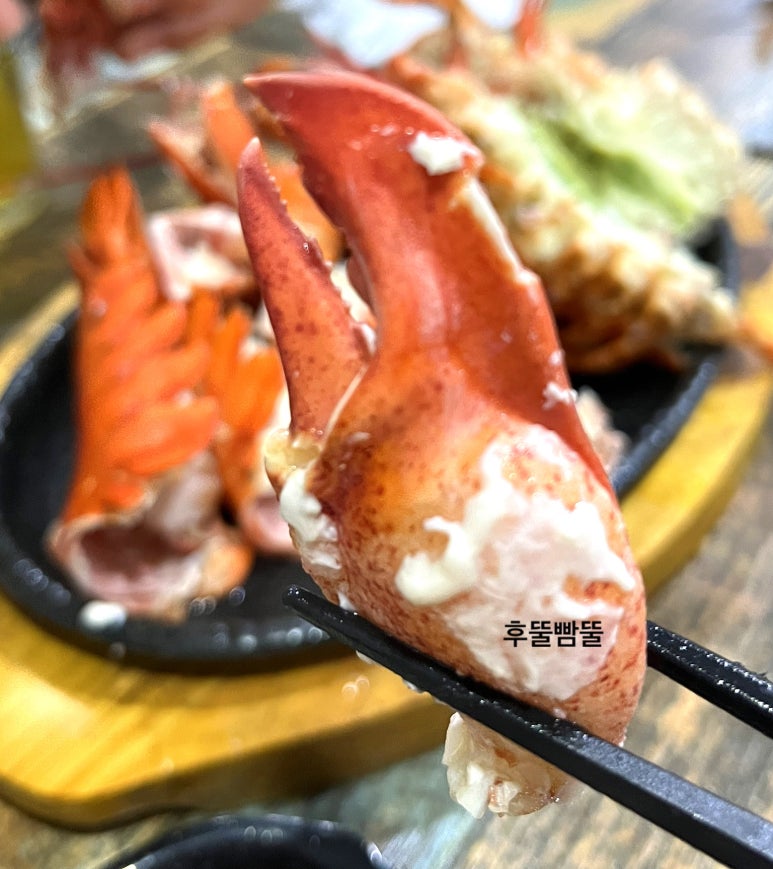 마이퍼주는집 이미지