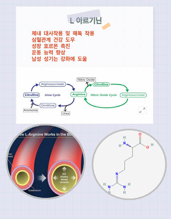 레인보우플러스 이미지