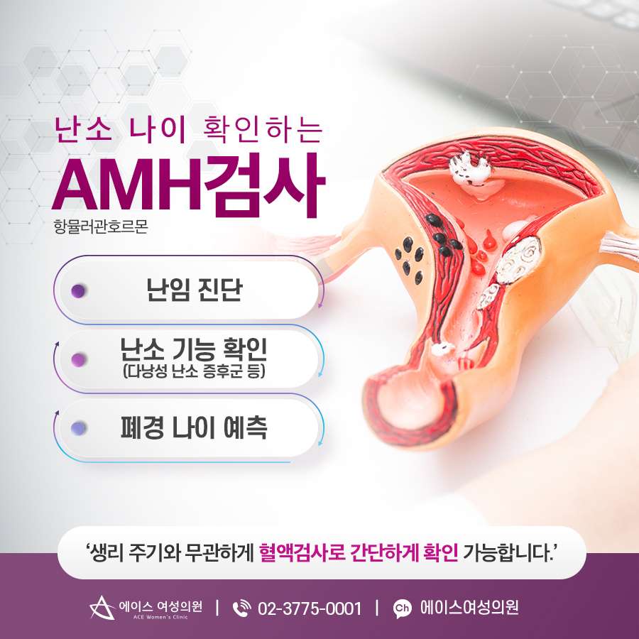 에이스여성의원 이미지