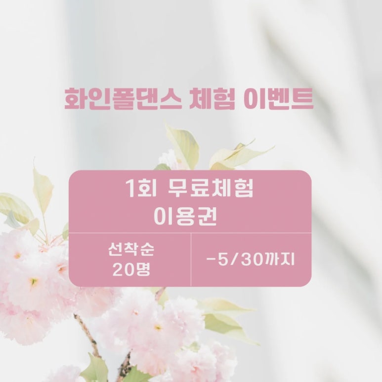 화인폴댄스 이미지