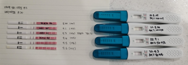 노블클라쎄산부인과 이미지
