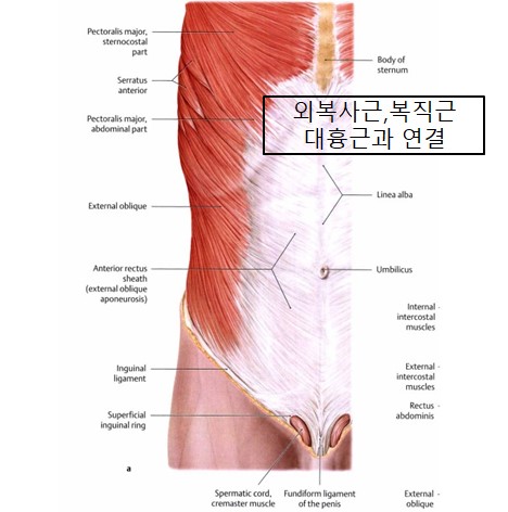 기능동작아카데미 이미지