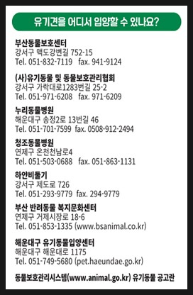 동물보호협회 동행 이미지