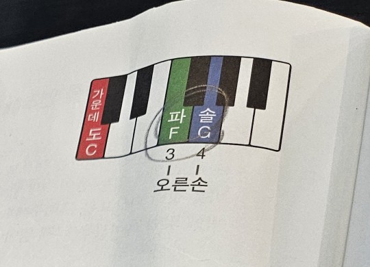 파라음악학원 이미지