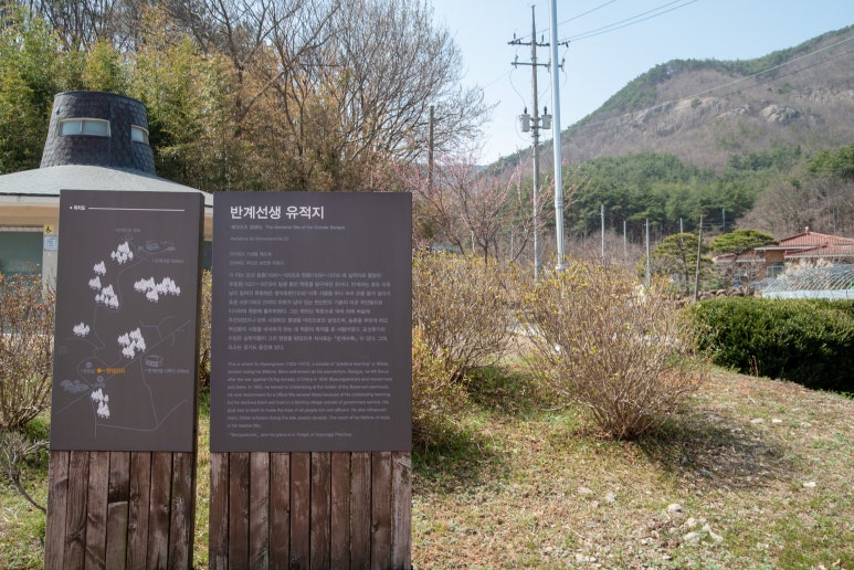 부안카 이미지