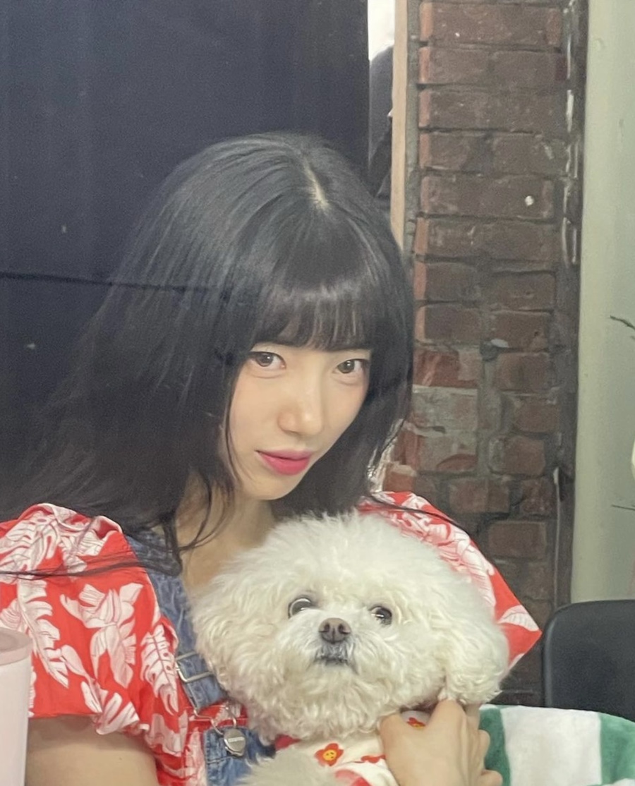 코너헤어 이미지