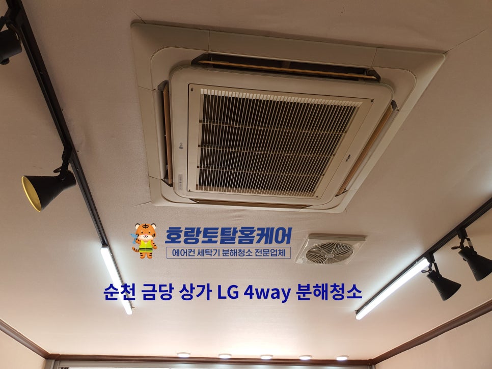 호랑토탈시스템 이미지