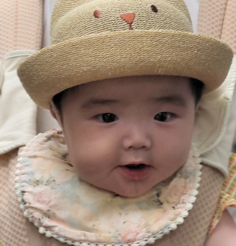 조인폴리 이미지