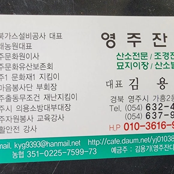 해듬꽃 이미지
