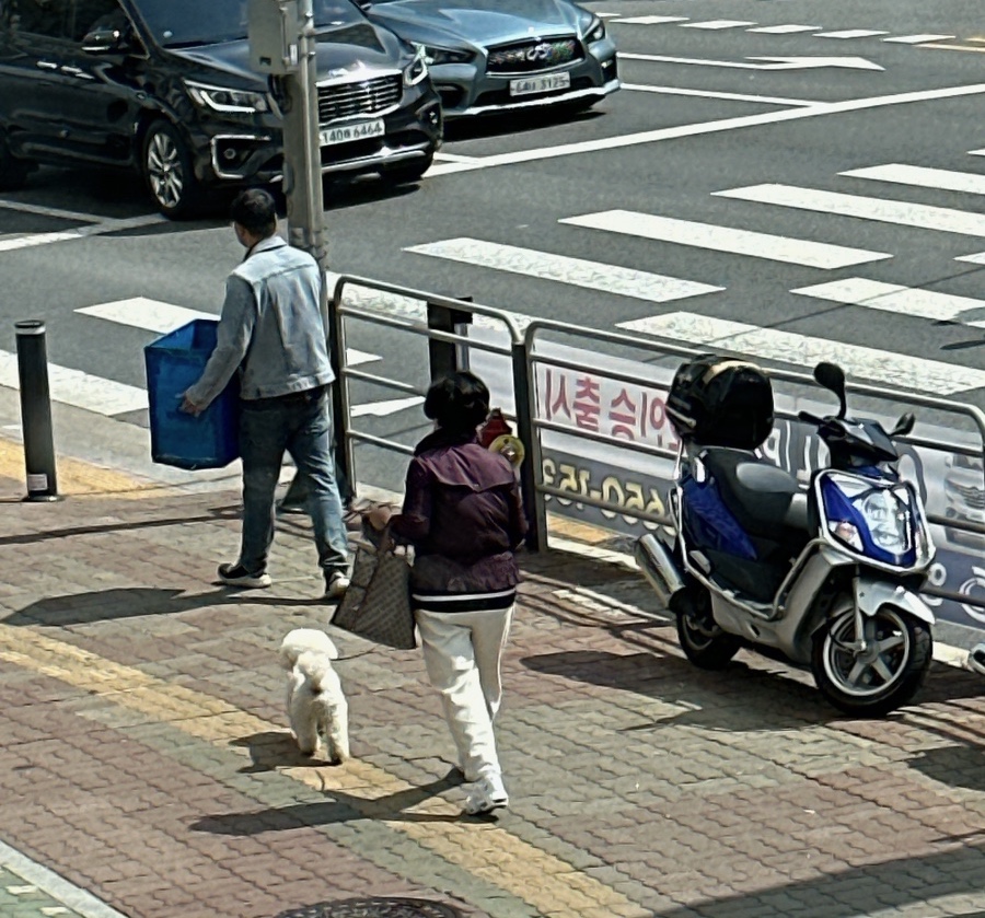 마이유(my:u) 이미지