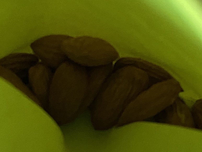오지치킨포차 이미지