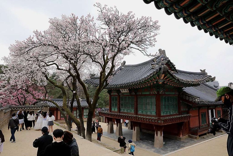 삼호통운(주) 이미지