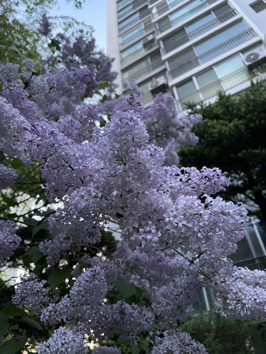 아비꼬 일산탄현제니스스퀘어점 이미지