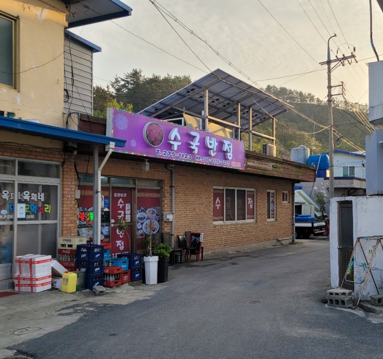 수국반점 이미지