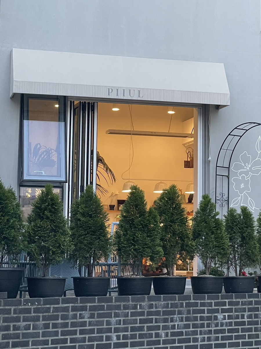 아틀리에피울 이미지