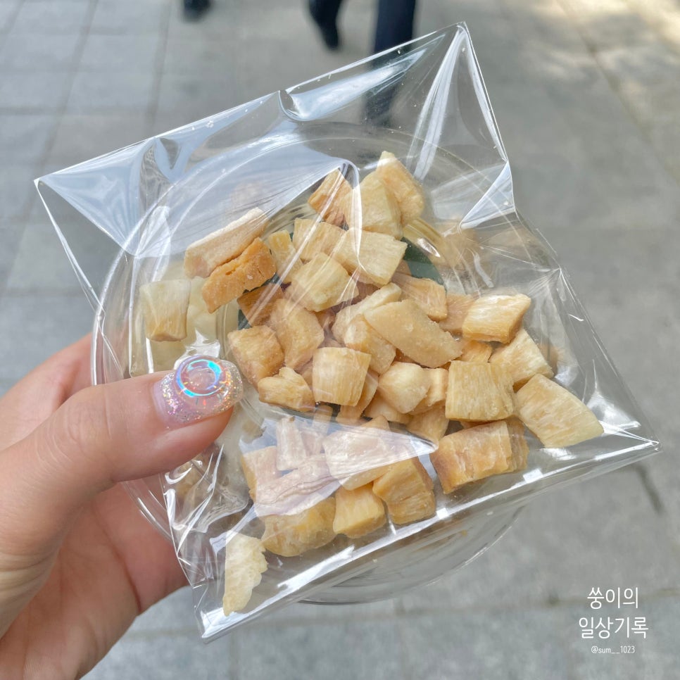 비유어거트 이미지