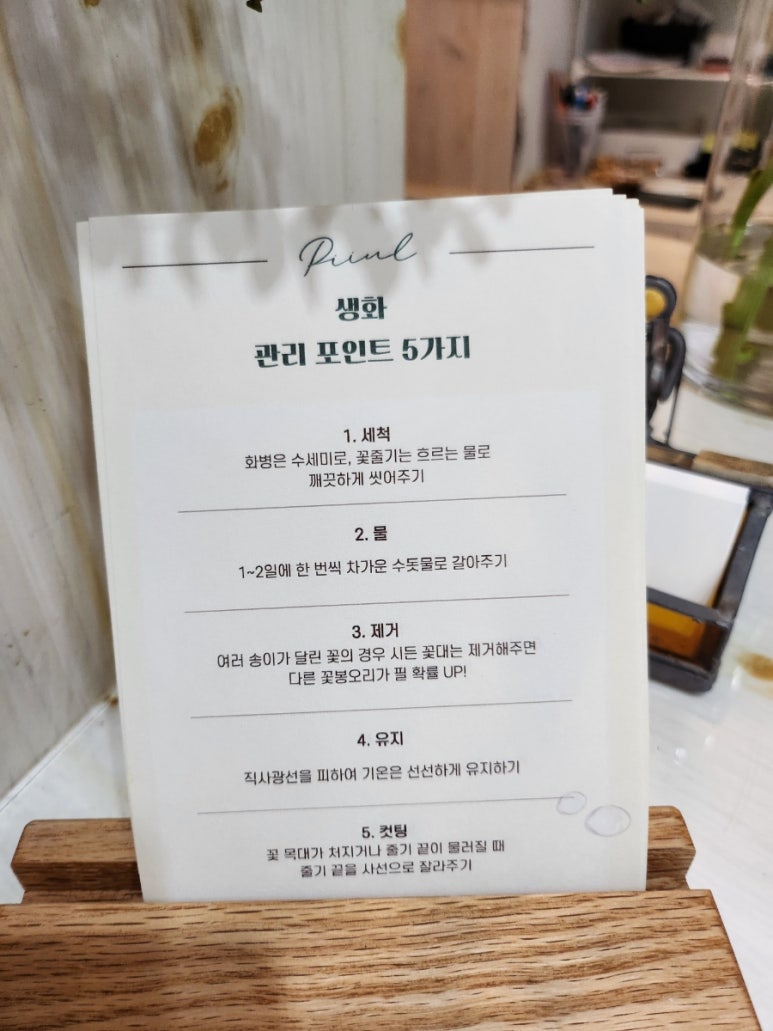 아틀리에피울 이미지