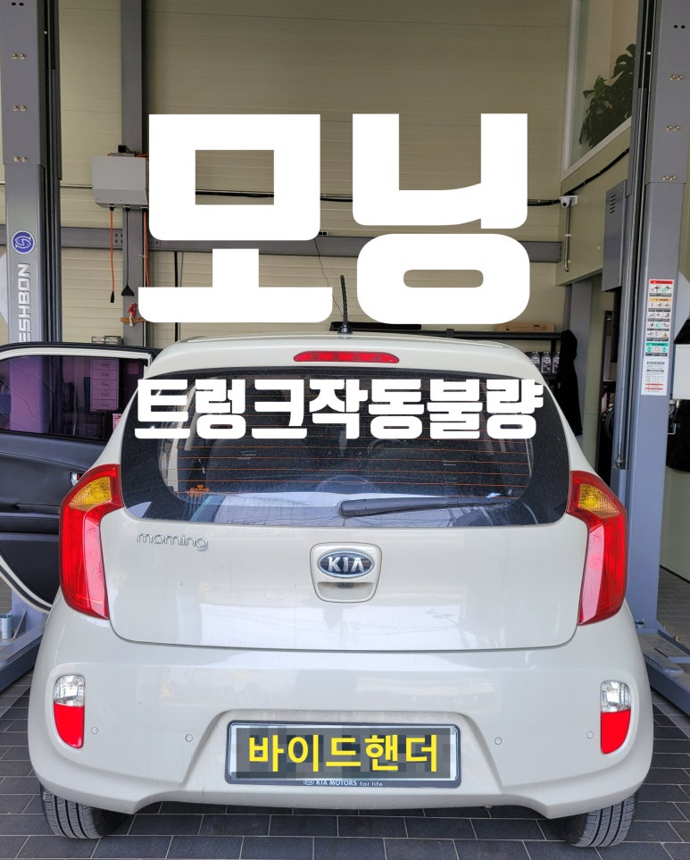 바이드핸더 이미지