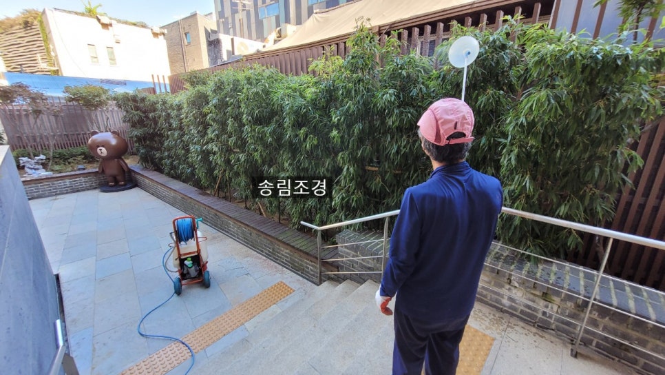송림조경 이미지