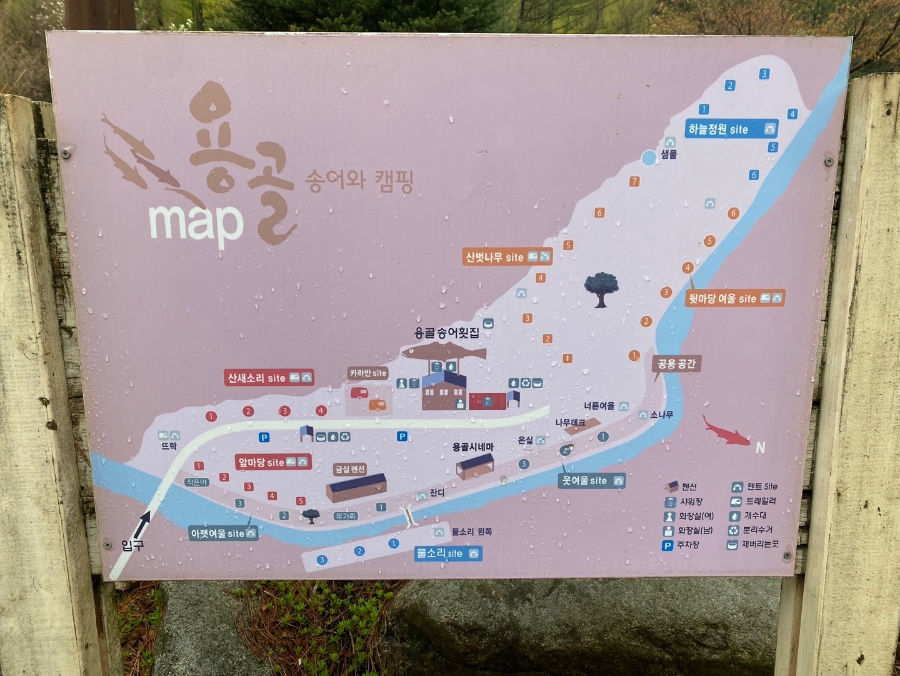 용골송어와캠핑 이미지