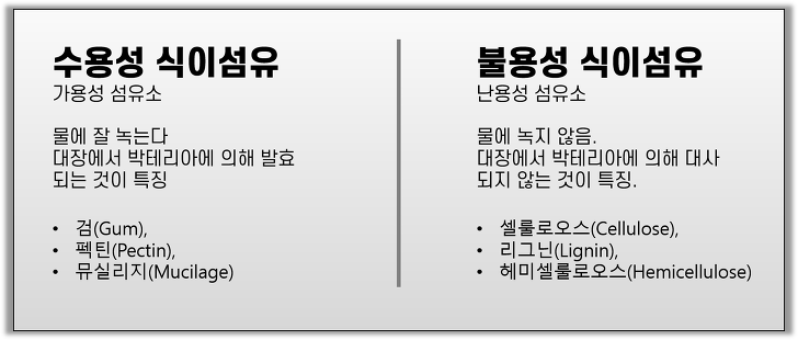 대전섬유 이미지