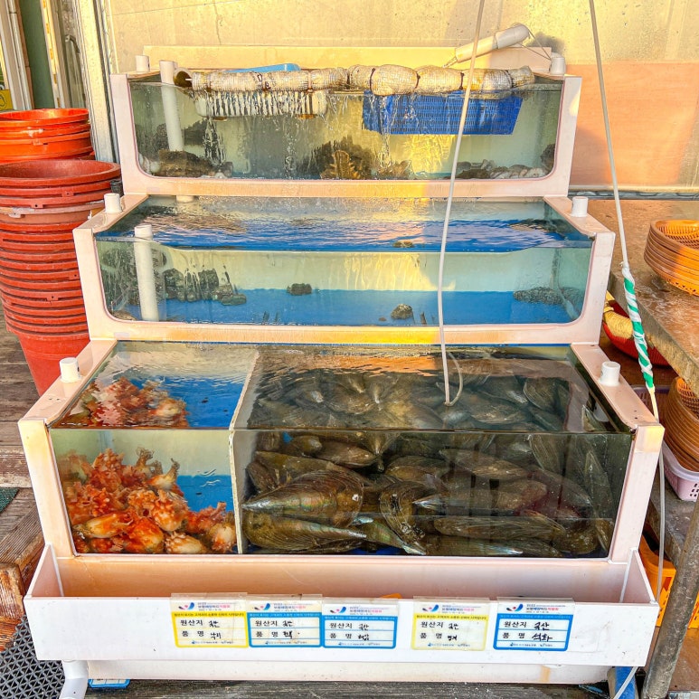 행복한조개맛집 이미지