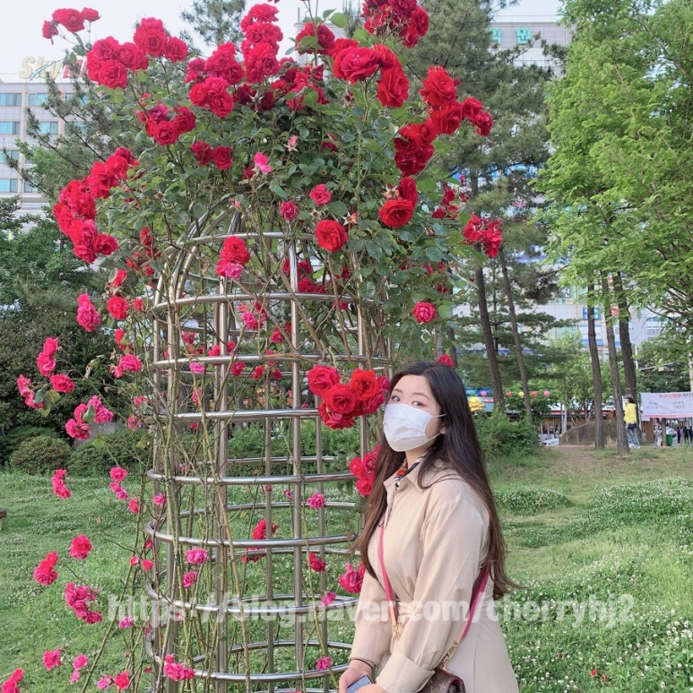 장미전통찻집 이미지