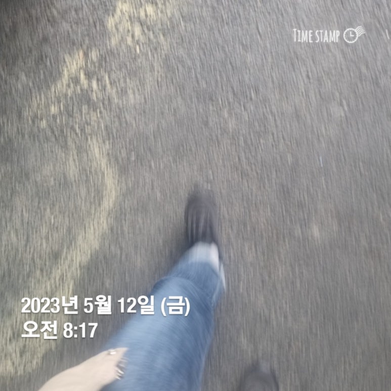 행복한금돼지 이미지