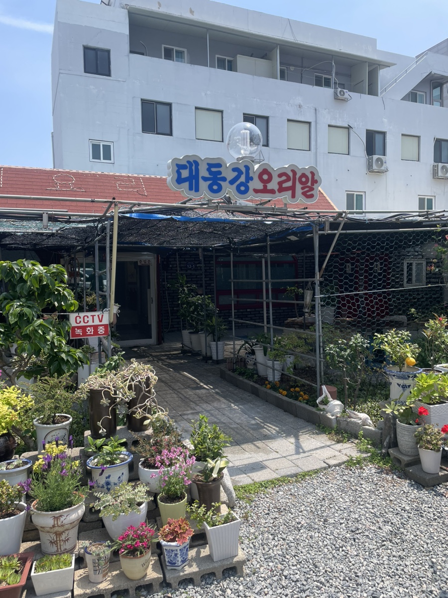 대동강오리알 이미지