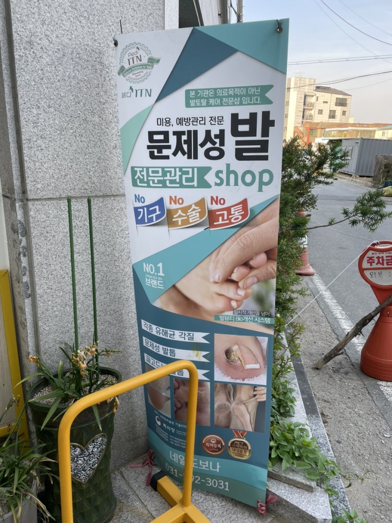 네일도 보나 이미지