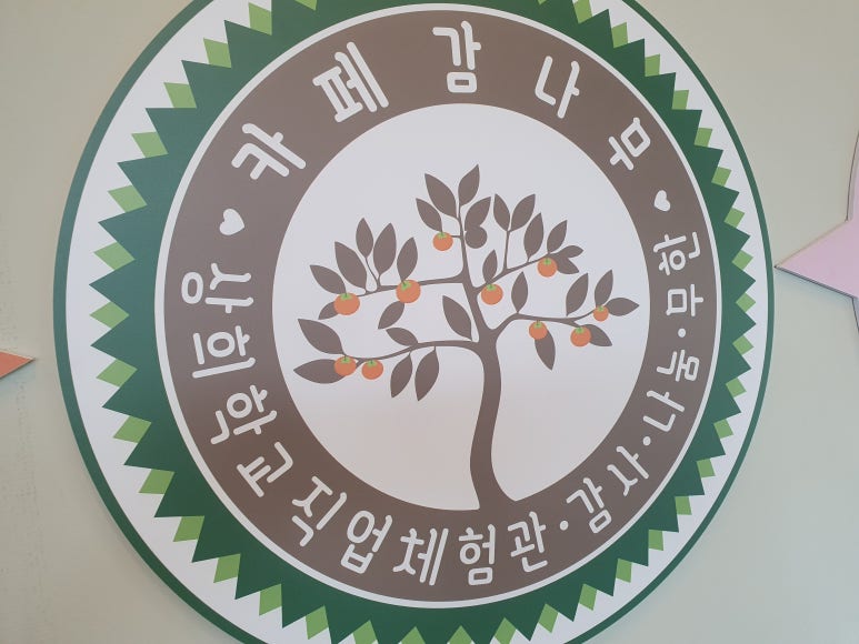 상희학교 카페 감나무 이미지