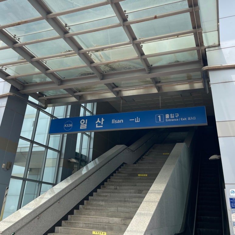 페트리코플라워 이미지