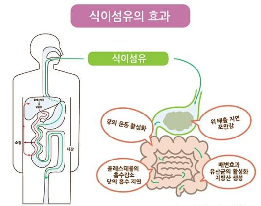 대전섬유 이미지