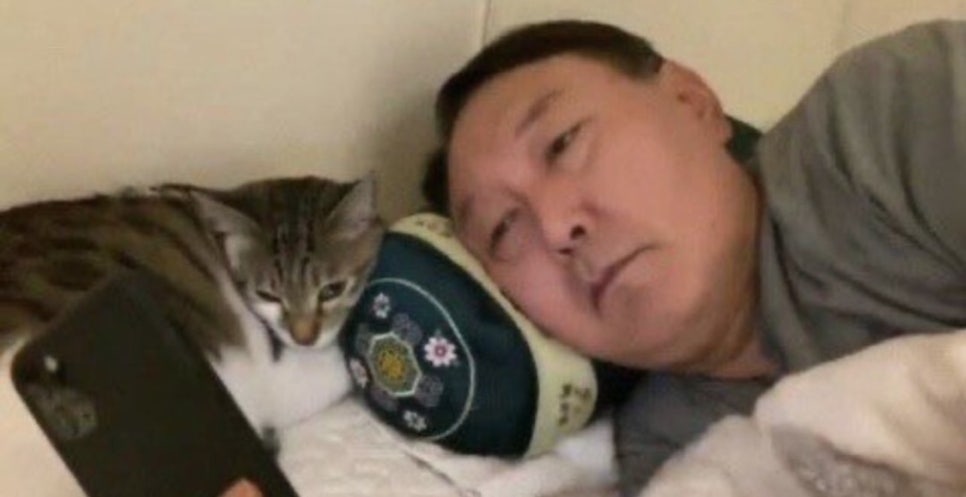 에스피티 이미지