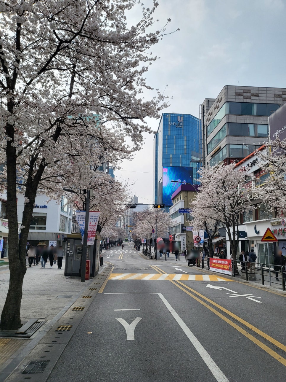 더파이홀 이미지