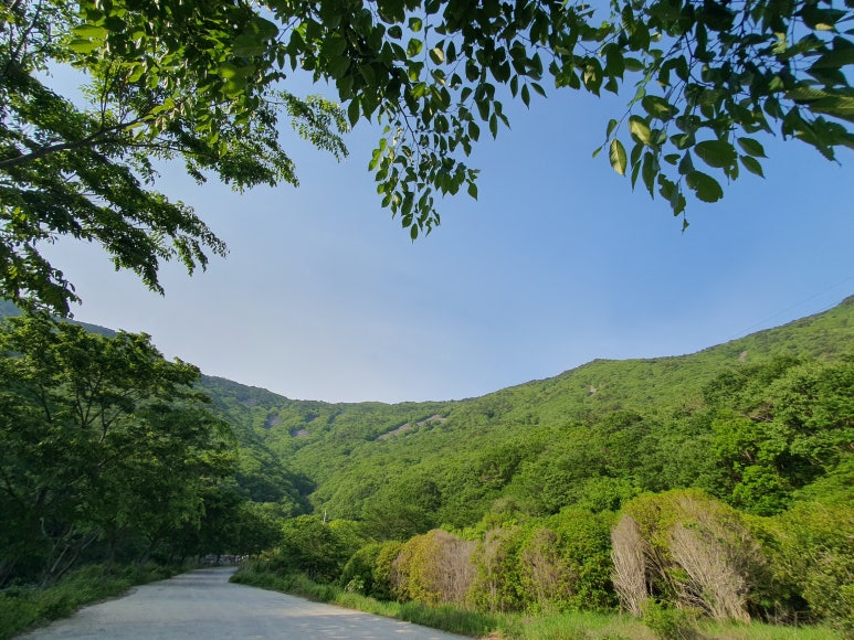 (주)많은물소리 이미지
