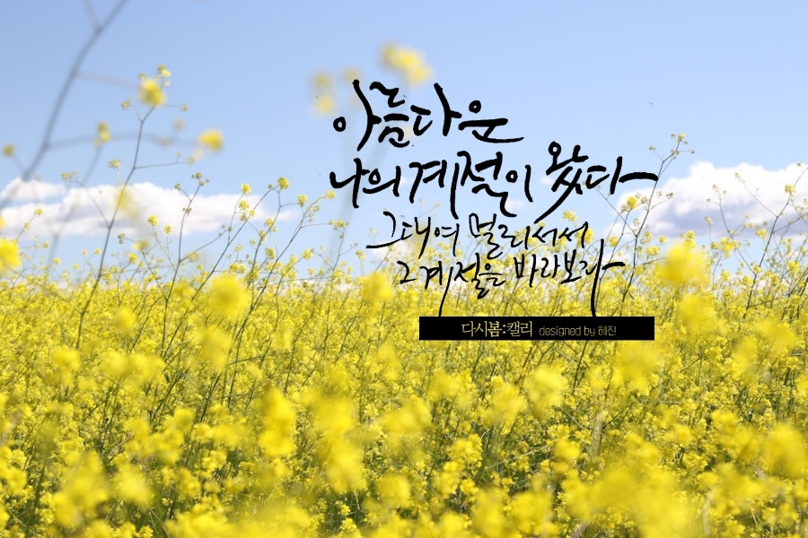 다시봄캘리 이미지