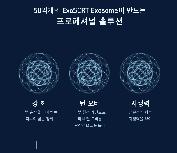 아인셀 이미지