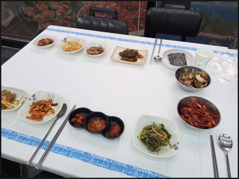 거북이 몰 이미지
