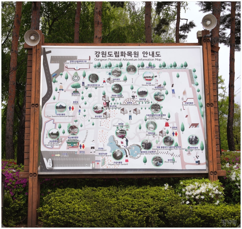 강원꽃식물원 이미지