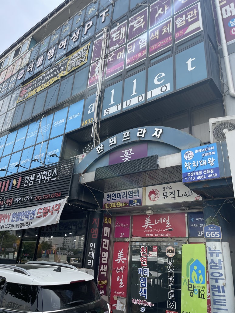페트리코플라워 이미지