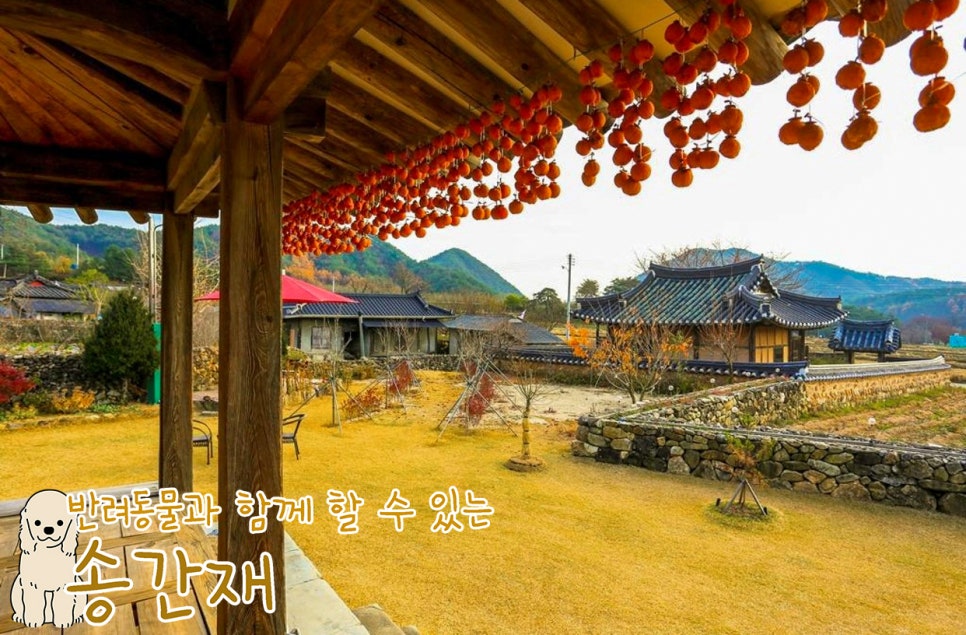송간재 이미지