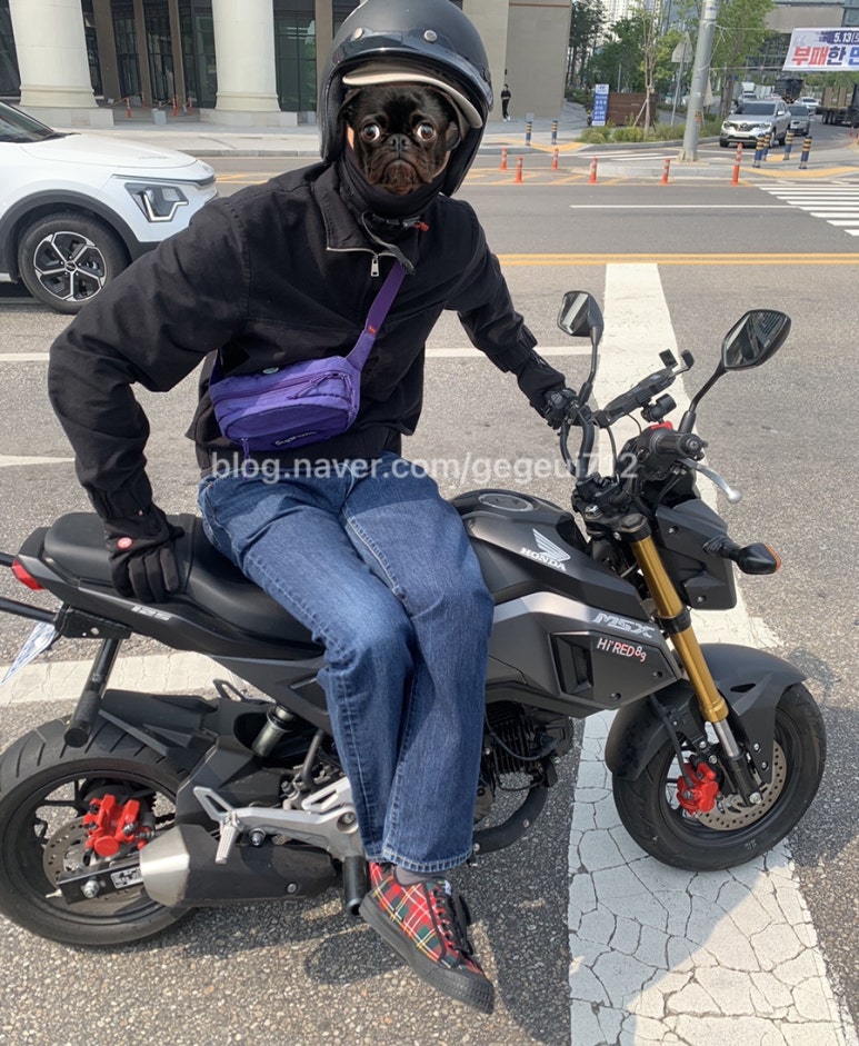 명진모터스 이미지