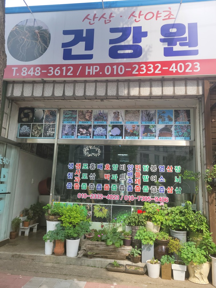 산야초건강원 이미지