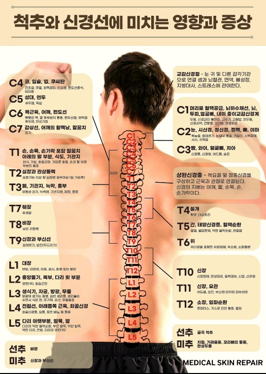 바비살롱 이미지