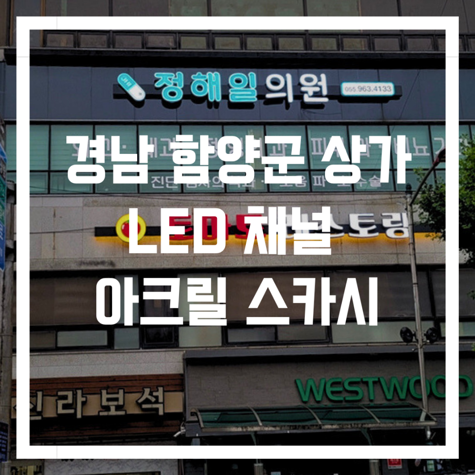 정해일의원 이미지