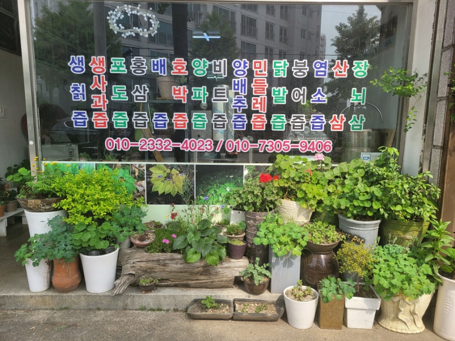 산야초건강원 이미지