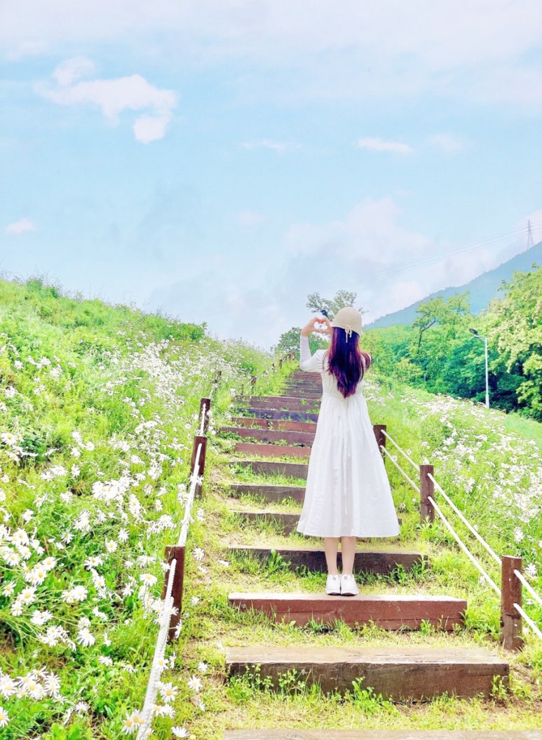 서문산림 이미지