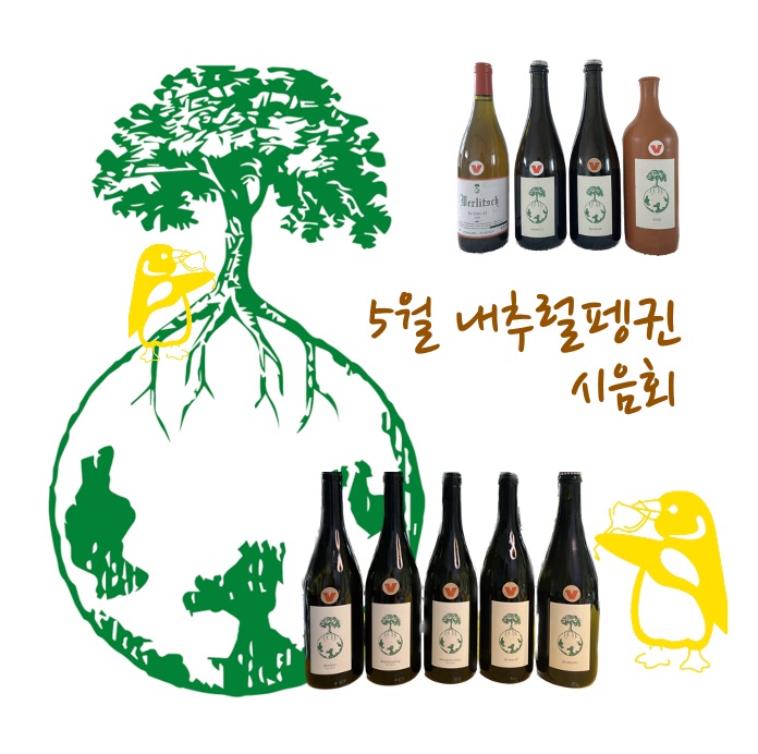 내추럴펭귄 이미지